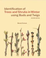 Identification of Trees and Shrubs in Winter using Buds and Twigs