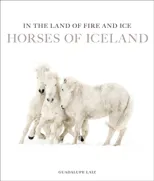 In the Land of Fire and Ice