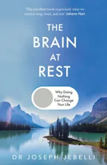 The Brain at Rest