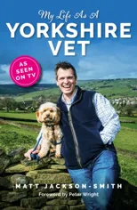 My Life As A Yorkshire Vet