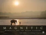 Magnetic