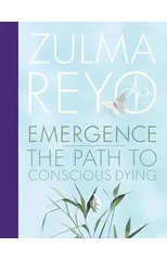 Emergence Of Consciousness