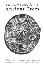 In The Circle of Ancient Trees