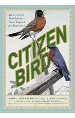 Citizen Bird