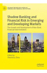 Shadow Banking and Financial Risk in Emerging and Developing Markets