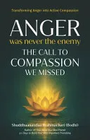 Anger Was Never the Enemy