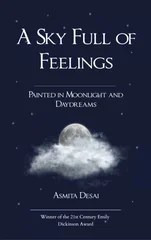 A Sky Full of Feelings (Edition1st)