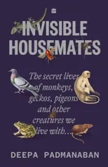 Invisible Housemates