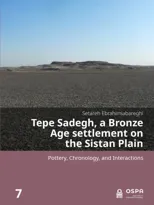 Tepe Sadegh, a Bronze Age settlement on the Sistan Plain