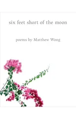 Six Feet Short of the Moon