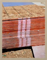 Ryan McIntosh and Yogan Muller