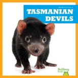 Tasmanian Devils