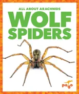 Wolf Spiders