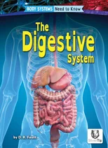 Digestive System