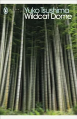 Wildcat Dome