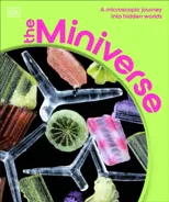 The Miniverse