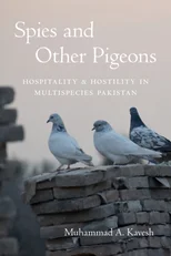 Spies and Other Pigeons