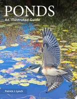 Ponds