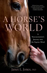 A Horse's World