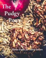 The Pudgy Pony