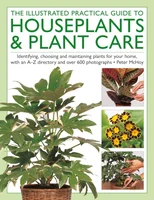 The Illustrated Practical Guide to Houseplants & Plant Care