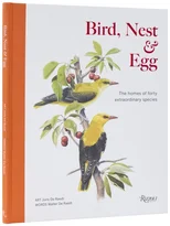 Bird, Nest & Egg