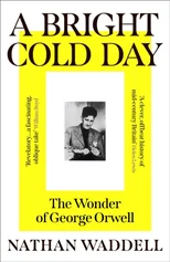 A Bright Cold Day
