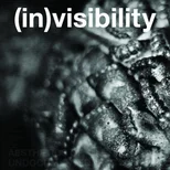 (in)visibility