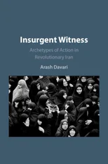 Insurgent Witness