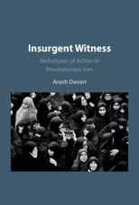 Insurgent Witness