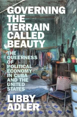 Governing the Terrain Called Beauty