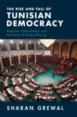 The Rise and Fall of Tunisian Democracy