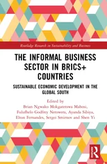 The Informal Business Sector in BRICS+ Countries