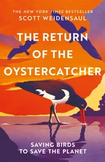 The Return of the Oystercatcher