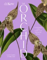 The Orchid
