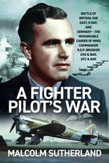 A Fighter Pilot’s War