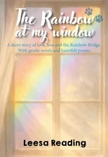 The Rainbow at My Window