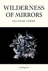 Wilderness of Mirrors