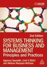 Systems Thinking for Business and Management