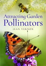 Attracting Butterflies, Bees and Other Garden Pollinators