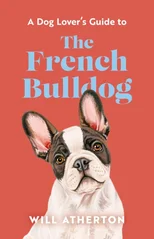The French Bulldog