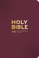 NIV Pocket Mulberry Bible with Gold Zip