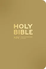 NIV Pocket Latte Bible with Gold Zip