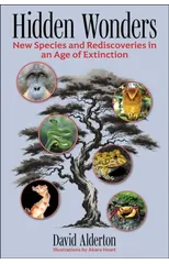 Hidden Wonders