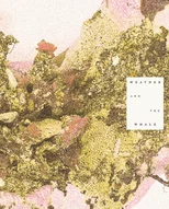 Weather and the Whale