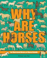 Why Are Horses