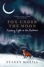 Fox Under the Moon