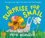 A Surprise for Snail