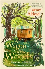 The Wagon in the Woods