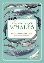 The Wonder of Whales